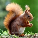 Avatar de Abel Salvatierra